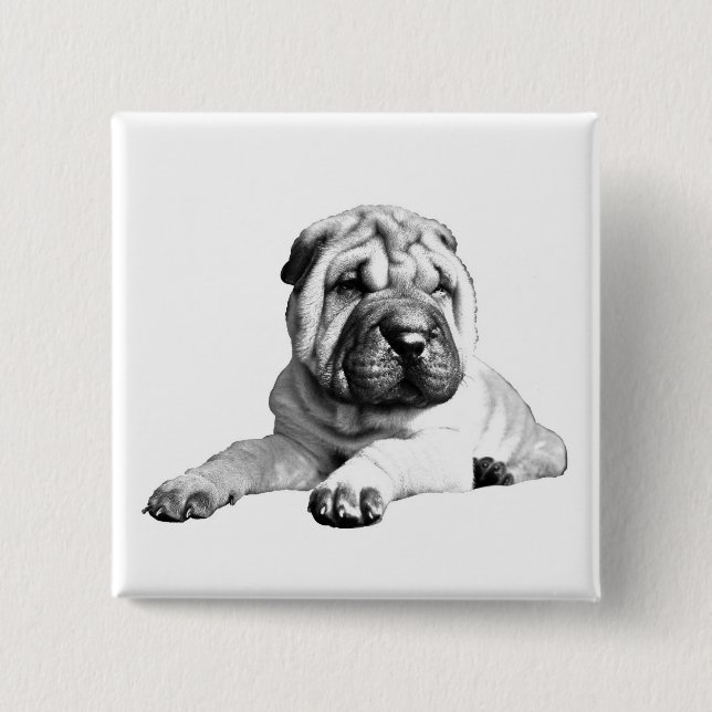 Bóton Quadrado 5.08cm Botão Quadrado Brilhante Shar Pei (Frente)