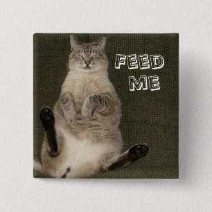 Bóton Quadrado 5.08cm Botão Quadrado Cat "FEED ME"