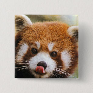 Bóton Quadrado 5.08cm Botão quadrado da panda vermelha