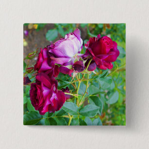 Bóton Quadrado 5.08cm Botão Rosa nº 1 do Yonder Azul Selvagem