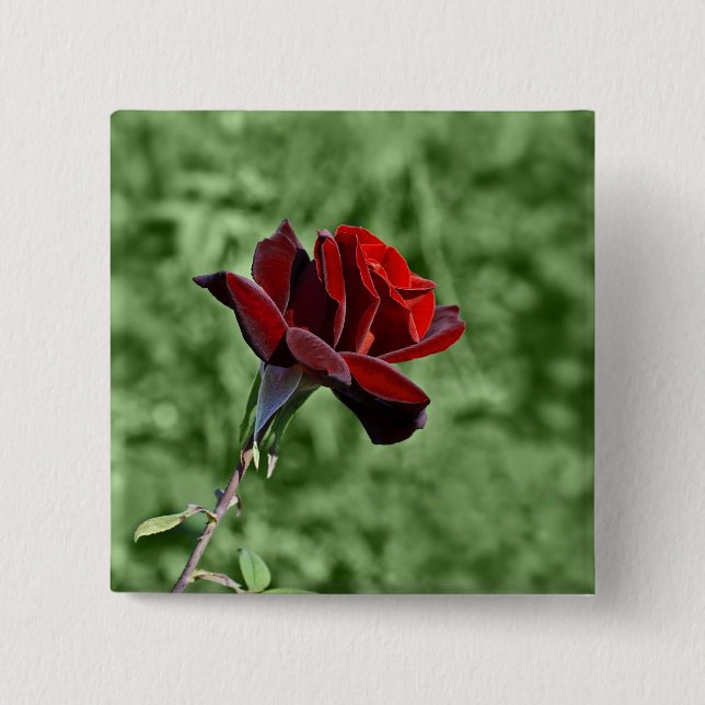 Bóton Quadrado 5.08cm Botão Rosa Vermelha (Frente)