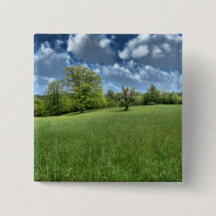 Bóton Quadrado 5.08cm Botão Verde Appalachian