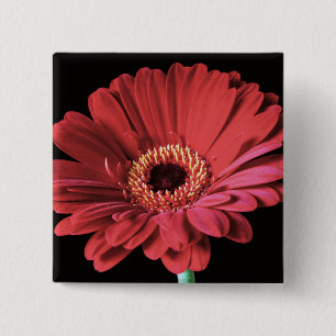 Bóton Quadrado 5.08cm Botão vermelho do quadrado do Gerbera
