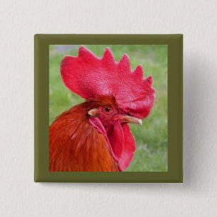 Bóton Quadrado 5.08cm Botão vivo de Coutry do galo vermelho