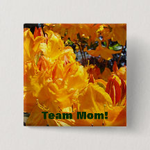 Botões de Equipe Mãe! Laranjas Rhodies Flores