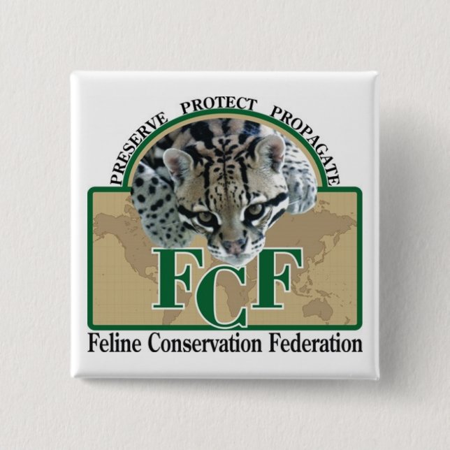 Bóton Quadrado 5.08cm Botões quadrados (Frente)