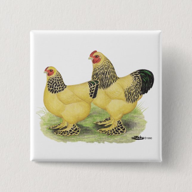 Bóton Quadrado 5.08cm Brahma Buff Pair (Frente)