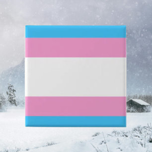 Bóton Quadrado 5.08cm Broche de Orgulho Trans