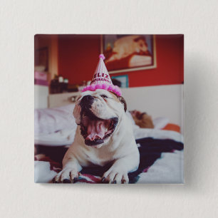 Bóton Quadrado 5.08cm Buldogue britânico das imagens de Getty