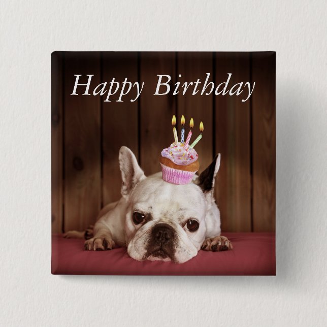 Bóton Quadrado 5.08cm Buldogue francês com cupcake do aniversário (Frente)