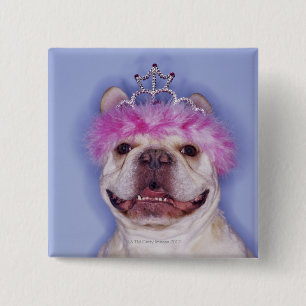 Bóton Quadrado 5.08cm Buldogue vestindo tiara