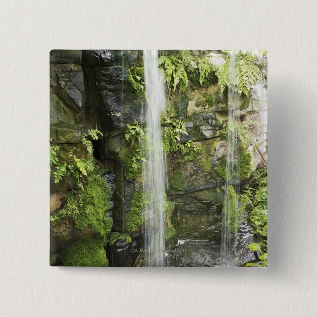 Bóton Quadrado 5.08cm Cachoeira, floresta húmida temperada, Nova (Frente)