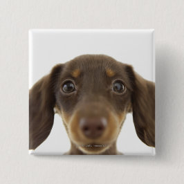 Bóton Quadrado 5.08cm Cachorro de inverno (marrom) 2