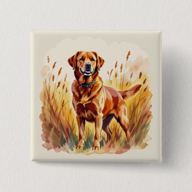 Bóton Quadrado 5.08cm Cachorro Labrador Retriever Fox Red (Frente)