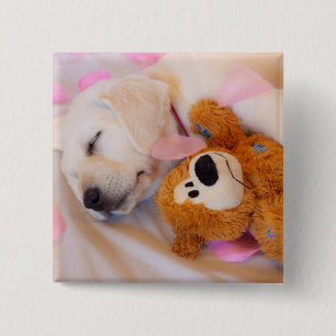 Bóton Quadrado 5.08cm Cachorros de pãozinho 02
