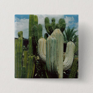 Bóton Quadrado 5.08cm Cacto da arizona
