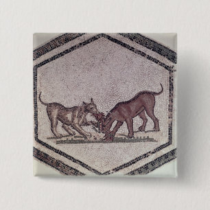 Bóton Quadrado 5.08cm Cães que lutam por um pássaro, romanos, ò-ó s