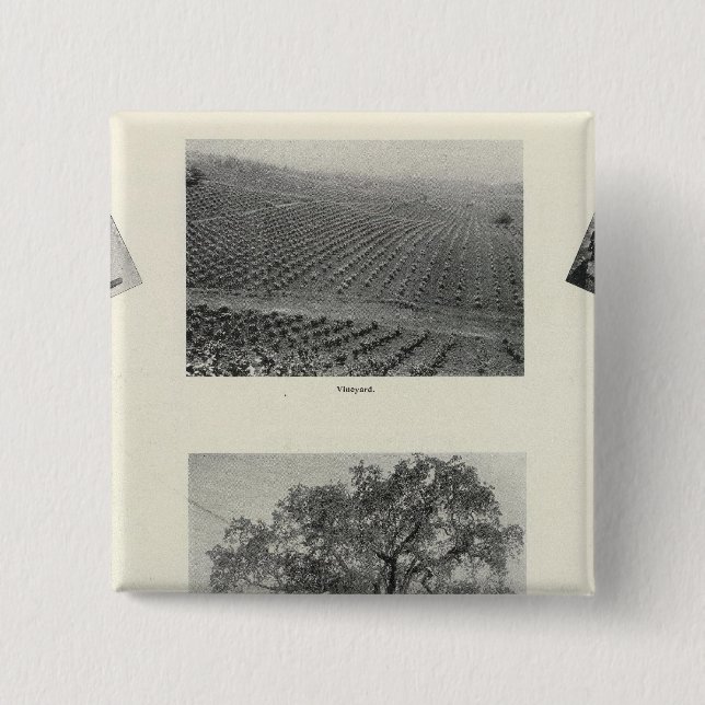 Bóton Quadrado 5.08cm Califórnia 4 (Frente)