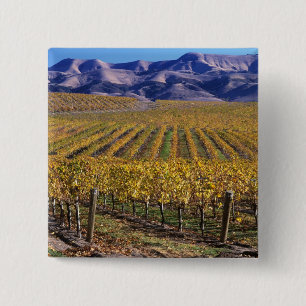 Bóton Quadrado 5.08cm Califórnia, San Luis Obispo County, Edna Valley