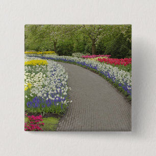 Bóton Quadrado 5.08cm Caminho de calçada através de tulipas e narcisos,
