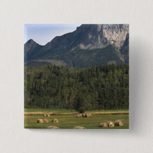 Bóton Quadrado 5.08cm Campos com feno enfardado, Alberta, Canadá