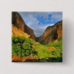 Bóton Quadrado 5.08cm Cânion Kolob no Zion Canyon no Zion National