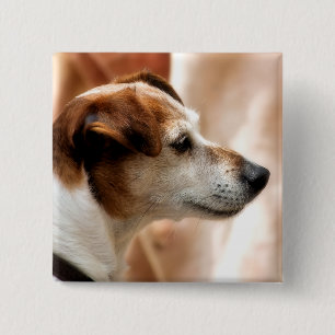 BÓTON QUADRADO 5.08CM CÃO DE RUSSELL TERRIER DO JAQUE