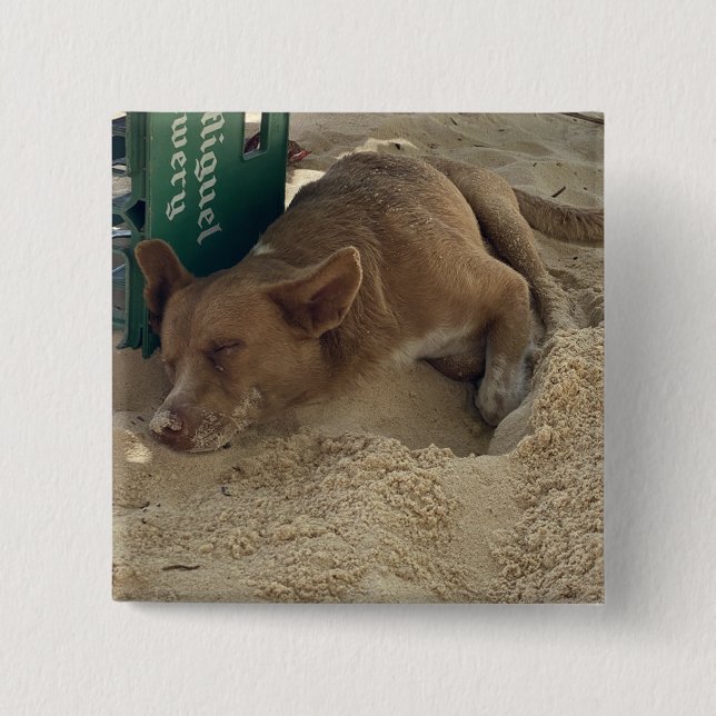 Bóton Quadrado 5.08cm Cão dormindo (Frente)