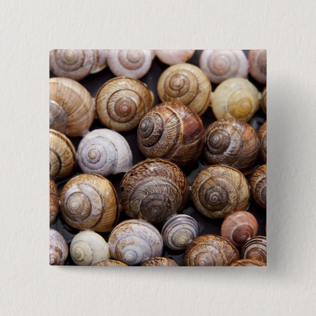Bóton Quadrado 5.08cm Caracóis (Frente)
