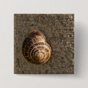 Bóton Quadrado 5.08cm Caracol