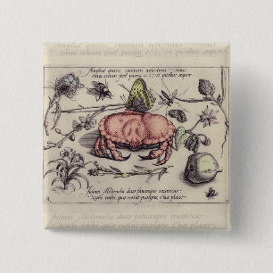 Bóton Quadrado 5.08cm Caranguejo-Vintagem, Botânicos, Insetos e Flores