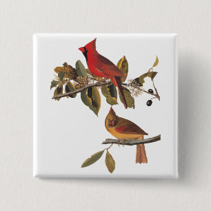 Bóton Quadrado 5.08cm Cardinal Grosbeak Birds Audubon Nature Vintage Art