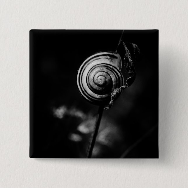 Bóton Quadrado 5.08cm cauda de caracol (Frente)