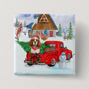 Bóton Quadrado 5.08cm Cavalier King Dog Em Neve De Caminhão No Parto De