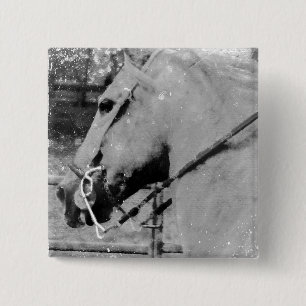 Bóton Quadrado 5.08cm Cavalo a Preto e Branco