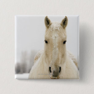 Bóton Quadrado 5.08cm Cavalo com neve na cabeça