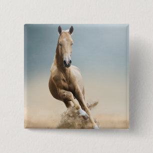 Bóton Quadrado 5.08cm Cavalo de Akhal-Teke