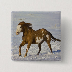 Bóton Quadrado 5.08cm Cavalo que funciona na neve