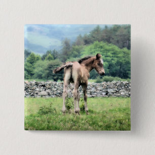 BÓTON QUADRADO 5.08CM CAVALOS