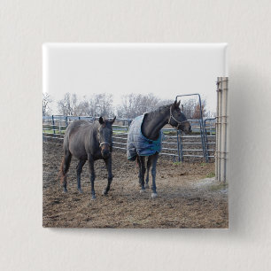 Bóton Quadrado 5.08cm Cavalos de Fazenda