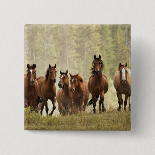 Bóton Quadrado 5.08cm Cavalos subindo uma pequena colina durante o arred