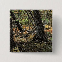 Cena de floresta outonal       