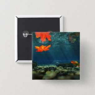 Bóton Quadrado 5.08cm Chama no Botão Água