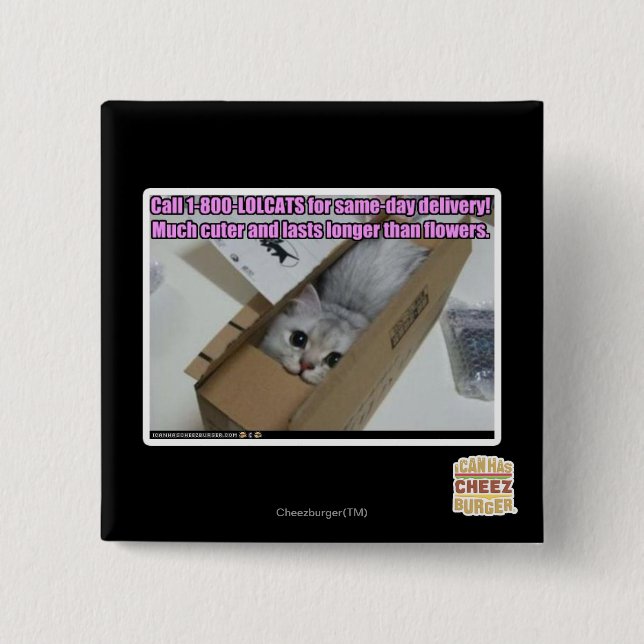 Bóton Quadrado 5.08cm Chamada 1-800-LOLCATS (Frente)