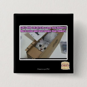 Bóton Quadrado 5.08cm Chamada 1-800-LOLCATS