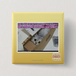 Bóton Quadrado 5.08cm Chamada 1-800-LOLCATS