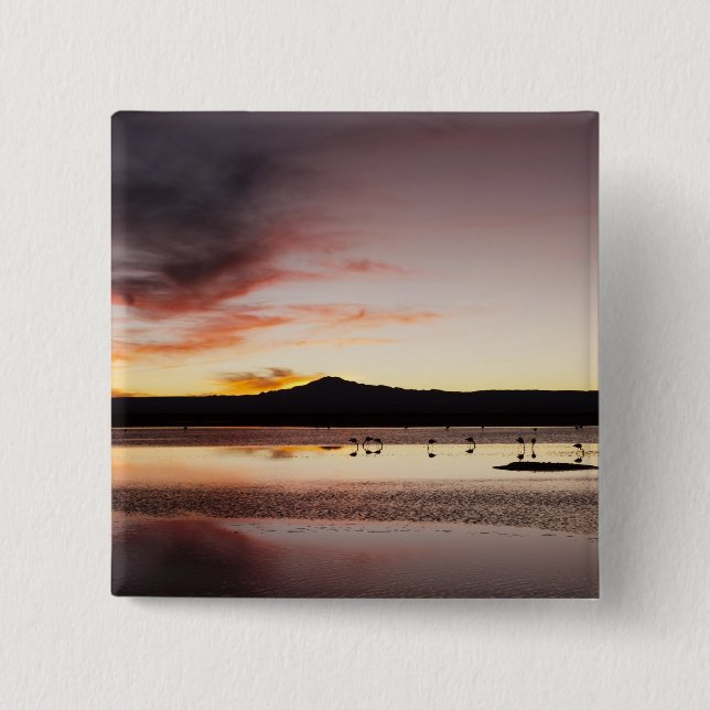 Bóton Quadrado 5.08cm Chilena Flamingo (Frente)