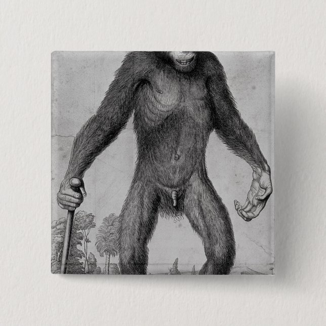 Bóton Quadrado 5.08cm Chimpanzé, 1699 (Frente)