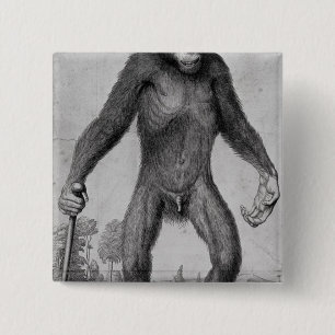 Bóton Quadrado 5.08cm Chimpanzé, 1699