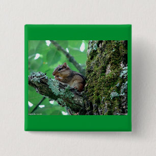 Bóton Quadrado 5.08cm Chipmunk doce em um Roupa de árvore e presentes